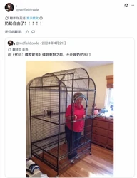 国际能源署署长暗示进一步释放战略石油储备油价恐迎大跌全球能源市场震荡投资者警惕变局