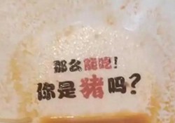 是嘲讽还是幽默？游客吃面发现碗底印着“你是猪吗”
