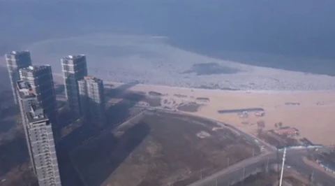 1745405701259642.jpg 辽宁222.jpg