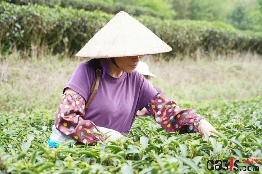 1775783712741580.jpg 641_副本.jpg