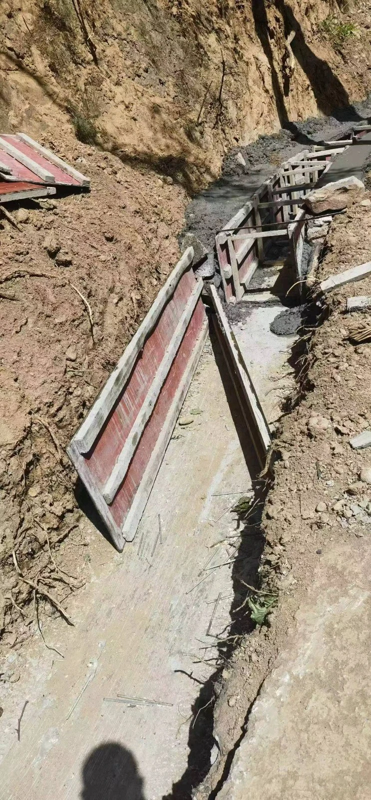 1685160432276292.jpg