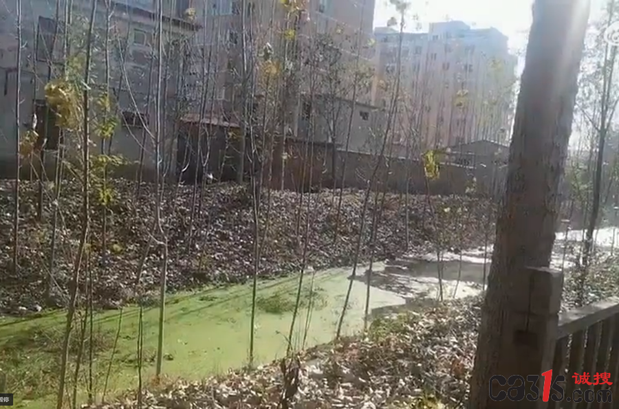 1735615233626851.png 截图20241231111759.png