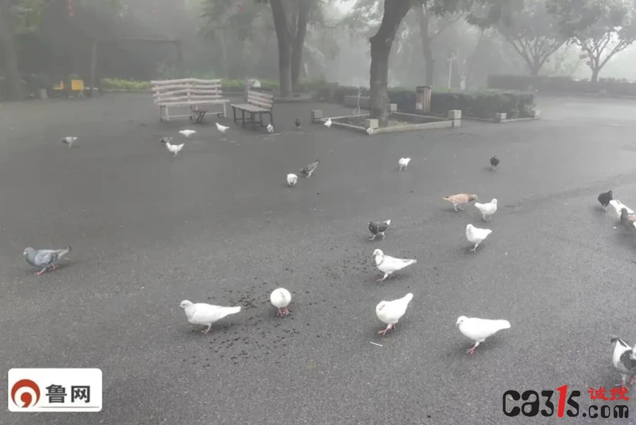 1780587008656413.png 4.png