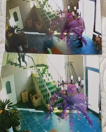 1747786109814290.jpg 辽宁444.jpg