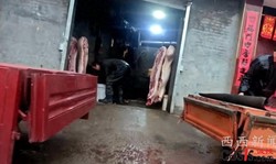 山西兴县被曝正规屠宰场停摆 猪肉安全隐忧引发关注