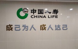 22年前购买的16000元中国人寿保险 分红两千块