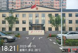 举报广平县十里铺镇书记冯海霞不作为，充当村霸的保护伞