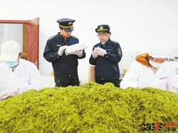 安徽省枞阳县市场监管局开展茶叶专项检查行动