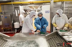 开学季护航“第一餐”：深圳、宁夏、天津等地全面排查校园食堂隐患