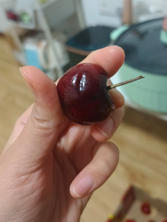 朴朴客服你是真牛啊 速速给我退货退款