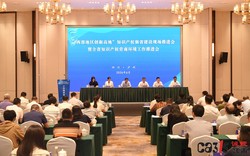 四川在泸州开了一场会，专聊知识产权怎么“用起来、护得住”