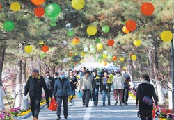 云祭扫成清明新选择，但千万别踩这些“坑”