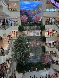 西安赛格商场坠亡事件调查通报：千万“违约金”被指过高，双方已和解