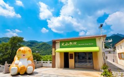 走进洞台村瞌睡猫文创商街