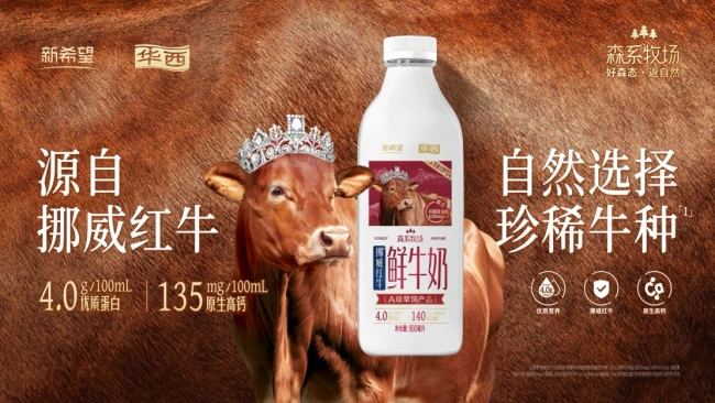 新乳业2026上半年营收增长5.20%,归母净利润增长17.24%