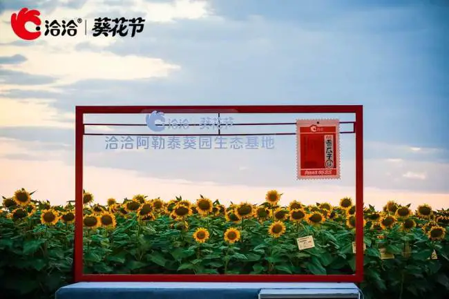 从业绩反弹到品牌破圈，洽洽食品埋下新一轮增长伏笔