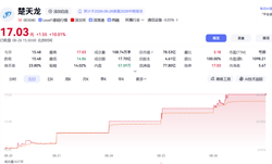 数字人民币龙头亏损扩大逆势4连板，高盛提前进场