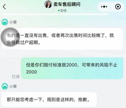 瓜子二手车逾期过户，卖家可能浪费购车指标？车被员工开上高速还逃费…平台：只赔2000元